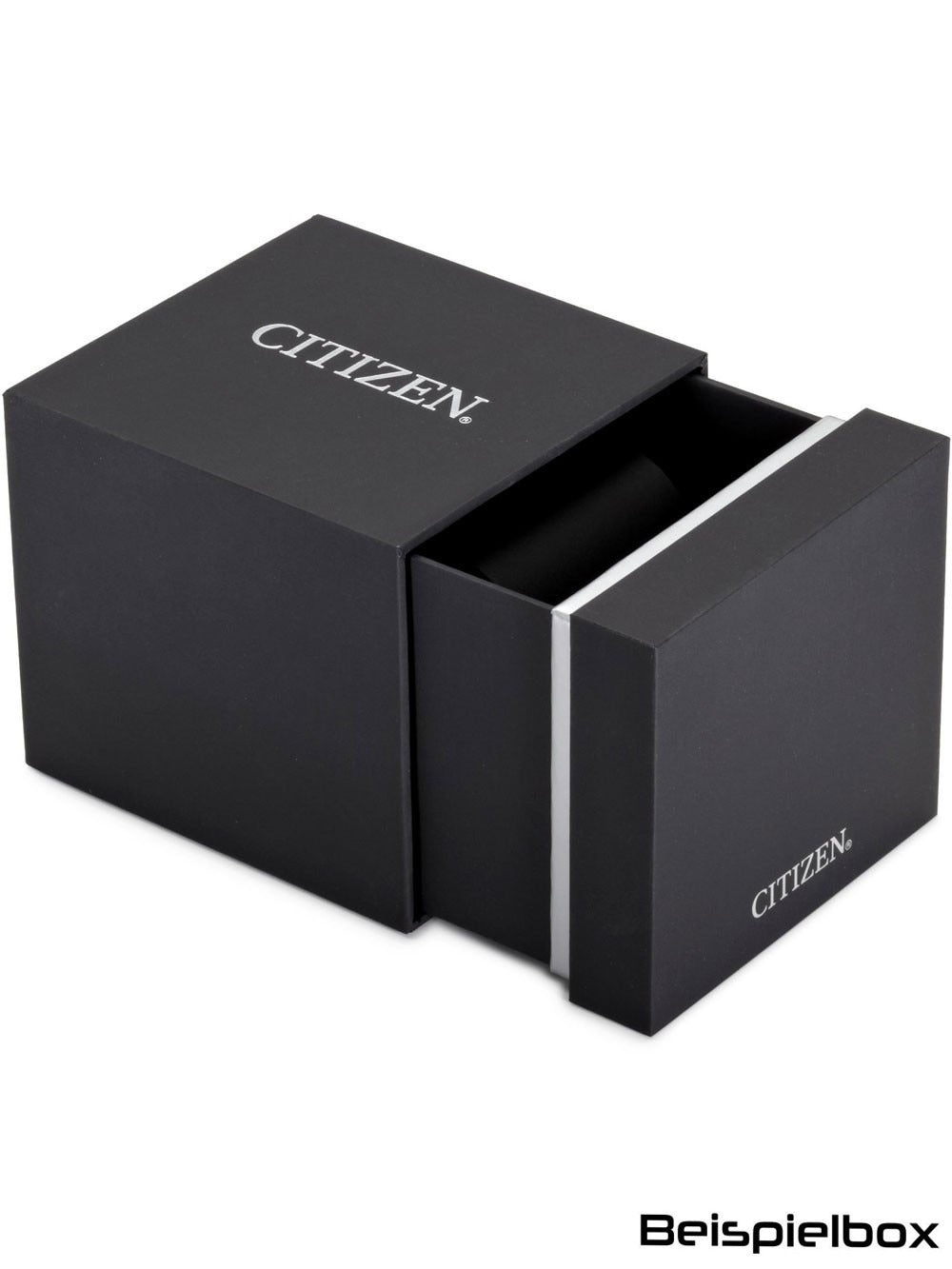 CITIZEN EL SQUARE EW5620-55A