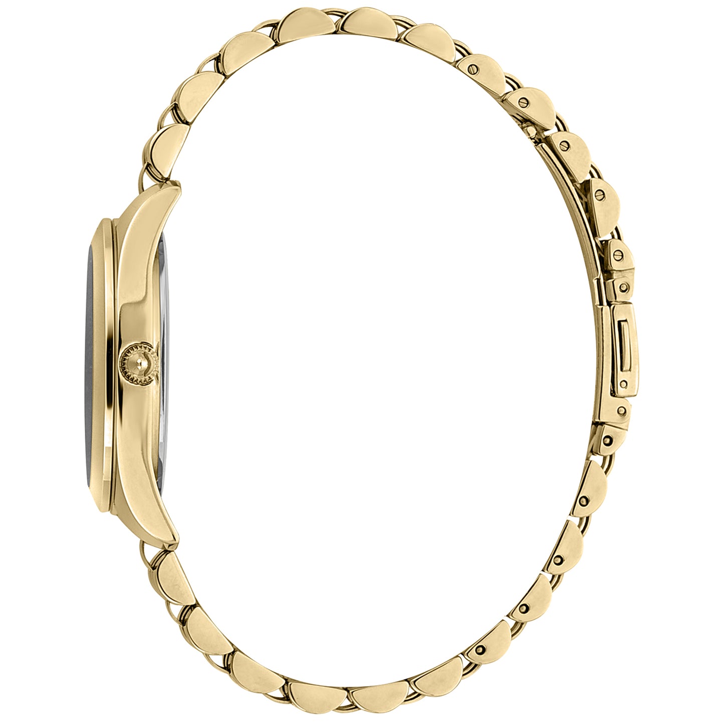 JUST CAVALLI TIME modelis JC1L210M0155
