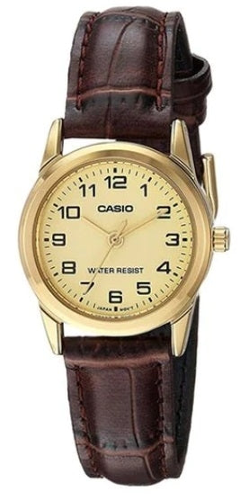 CASIO COLLECTION modelis Feminine 3H GOLD, LEATHER - GOLD