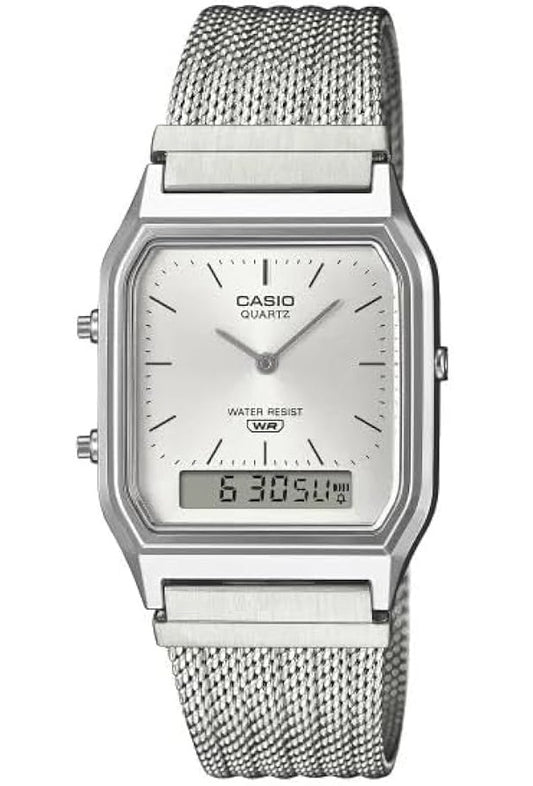 CASIO VINTAGE modelis EDGY COLLECTION SUNRAY DIAL - MESH STRAP, SILVER