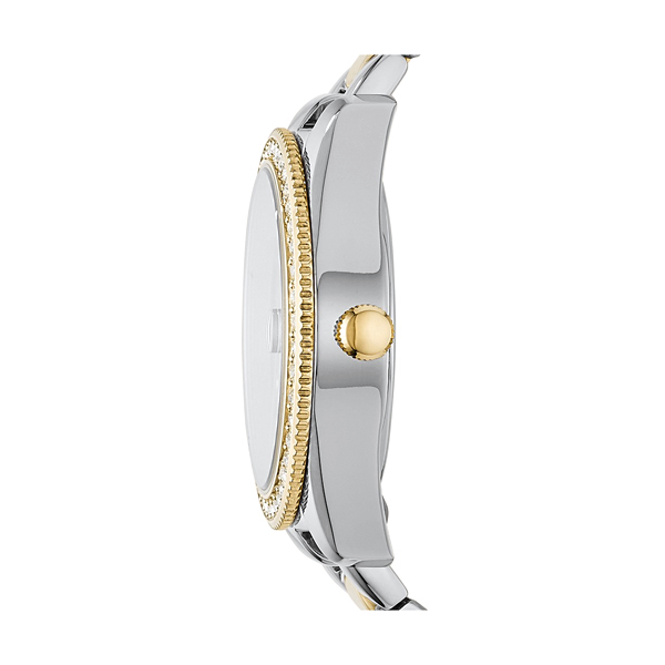 FOSSIL modelis ES4319