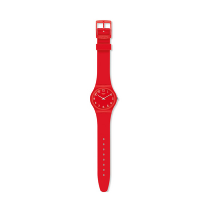 SWATCH WATCHES modelis GR175