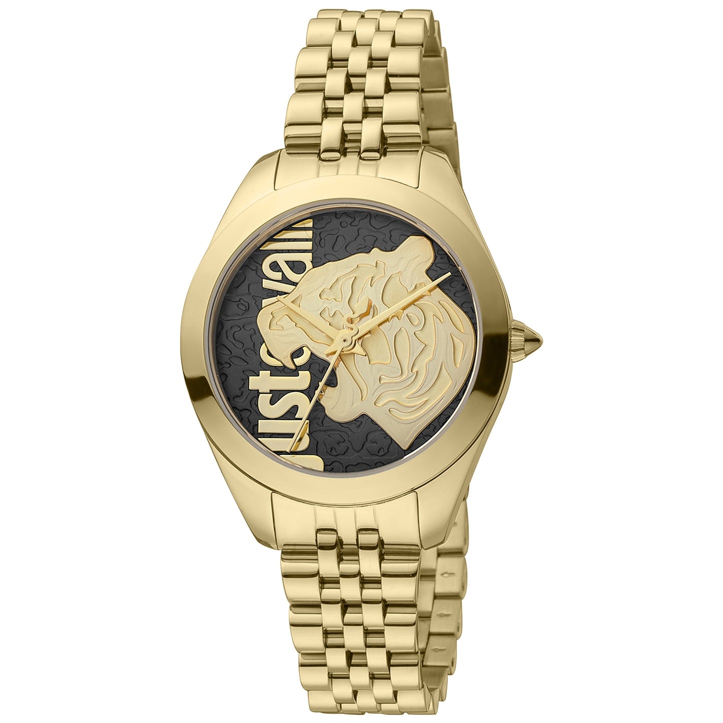 JUST CAVALLI TIME WATCHES modelis JC1L210M0155