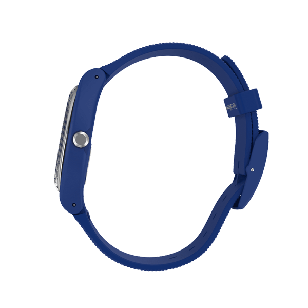 SWATCH WATCHES modelis SVIN103-5300