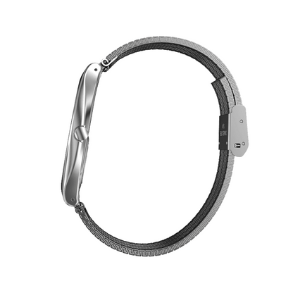 SWATCH modelis SKINSTEEL