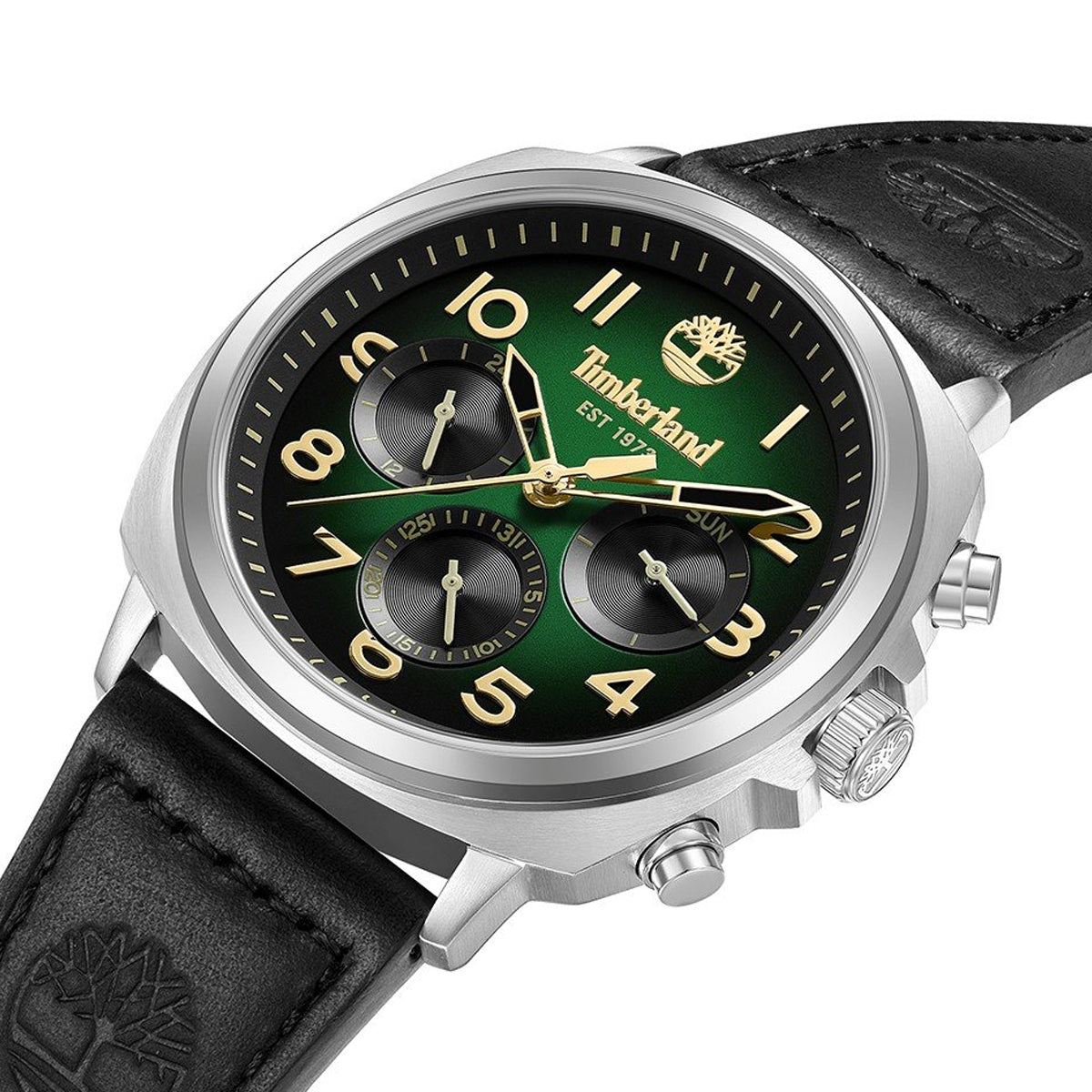 TIMBERLAND WILLISTON TDWGB0042008